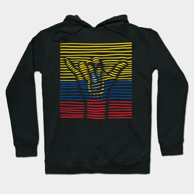 Ecuador Proud Flag, Ecuador gift heritage, Ecuadorian girl Boy Friend Ecuatoriano Hoodie by JayD World